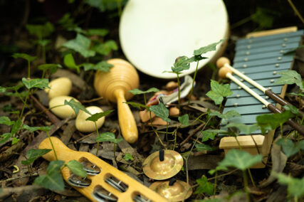musicoterapia